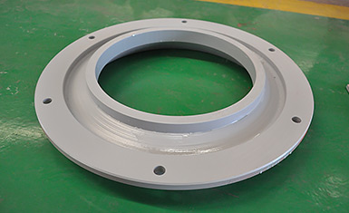 Impeller guard ring