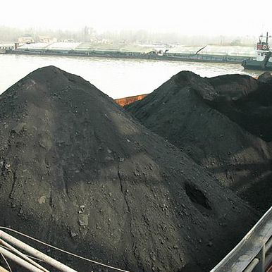 Coal